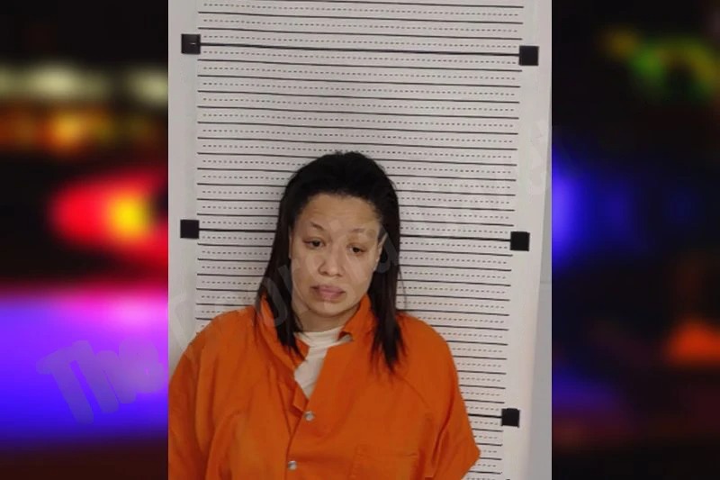 Lissette Correa mugshot