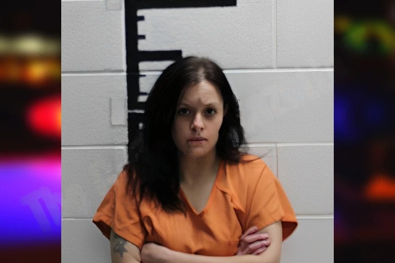 Litisha Black mugshot – Murray County , Georgia Litisha Black mugshot