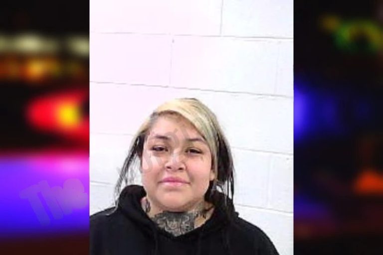 Litzi Ruyz-Paz mugshot – Fulton County , Georgia Litzi Ruyz-Paz