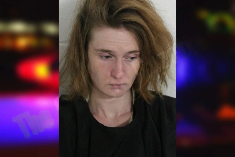 Lori Dowda mugshot – Floyd County , Georgia Lori Dowda