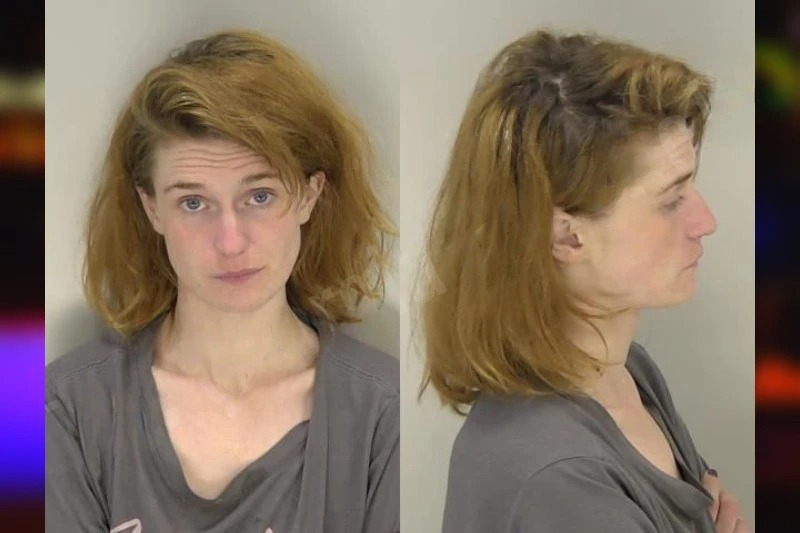Lori Dowda Mugshots