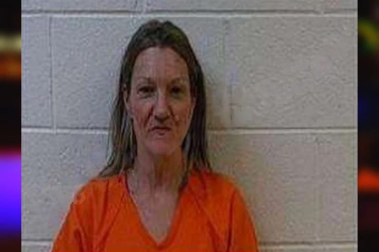 Lori Hill mugshot – Polk County , Georgia Lori Hill