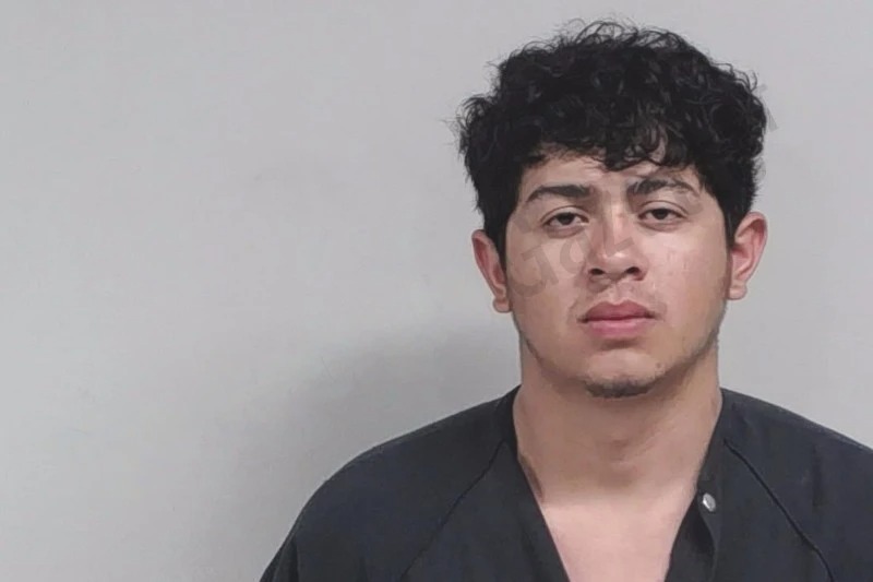 Ludelmar Deleon Sanchez Mugshots