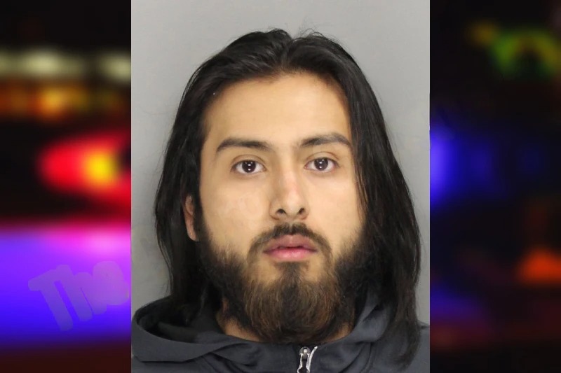 Luis Fernandez Mugshots