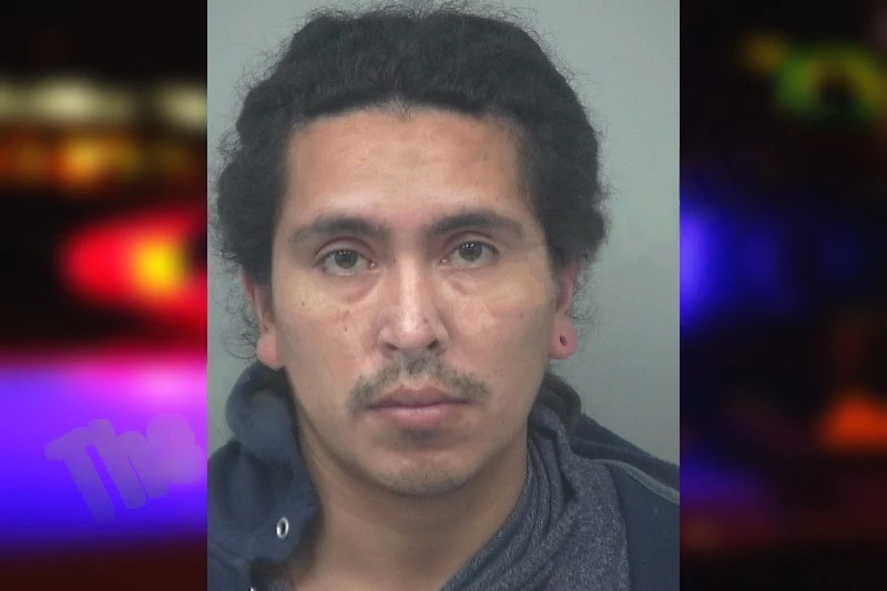 Luis Martin Anzola Mugshots