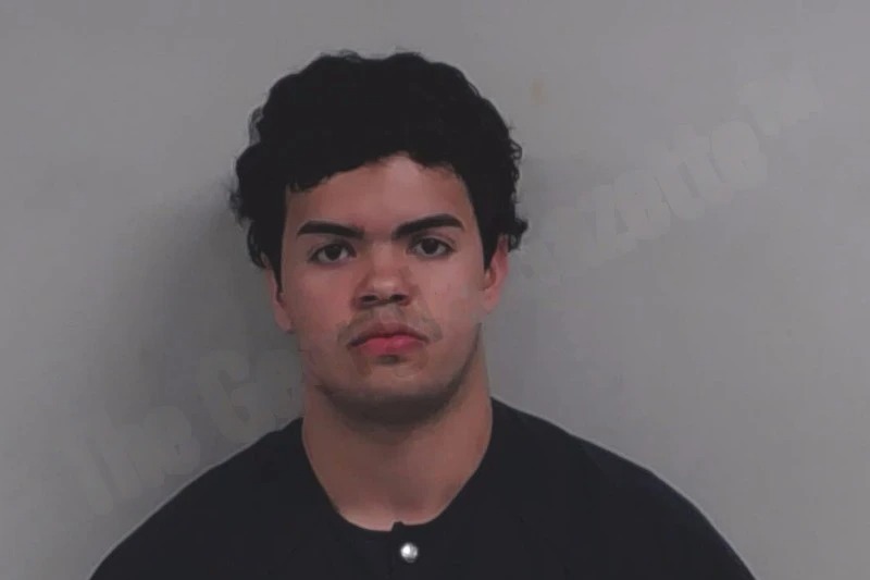 Luis Patchett Rodriguez Mugshots