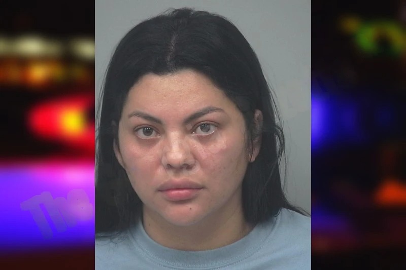 Luisa Romero Pena mugshot – Gwinnett County , Georgia Luisa Romero Pena mugshot