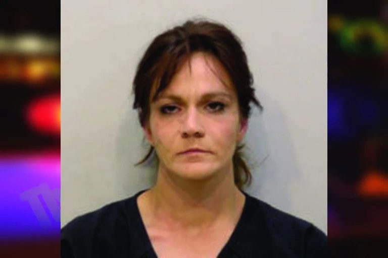 Lynda Evans mugshot – Bartow County , Georgia Lynda Evans