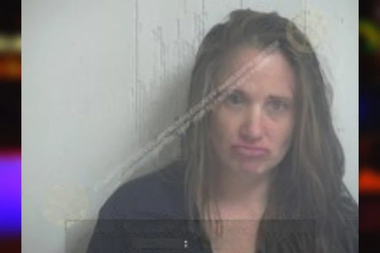 Lyndy Clark mugshot – Walton County , Georgia Lyndy Clark