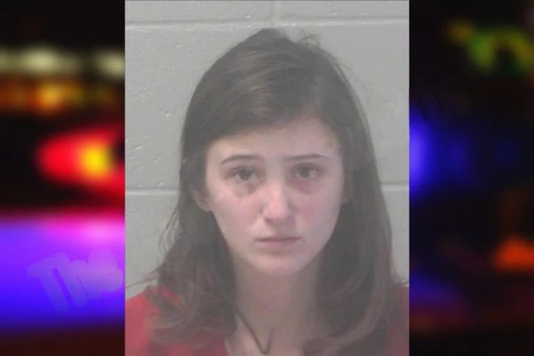 Lynnata Winters mugshot – Newton County , Georgia Lynnata Winters