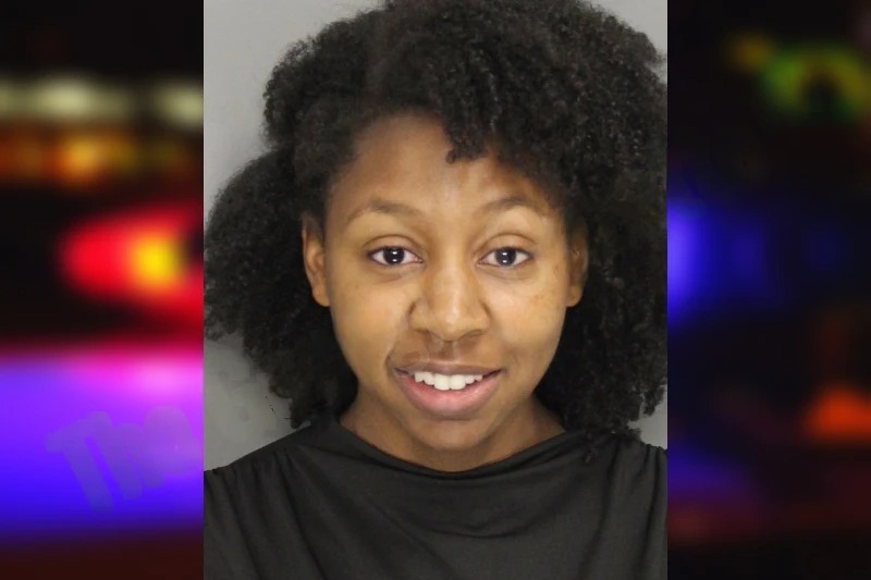 MacKenzie Florence mugshot – Cobb County , Georgia MacKenzie Florence mugshot