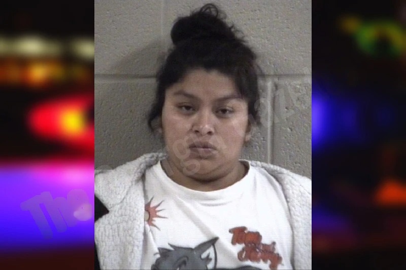 Magaly Chun-Ramirez mugshot