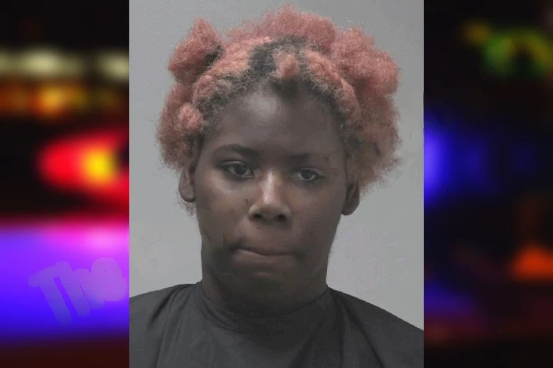 Makayla Lewis Mugshots