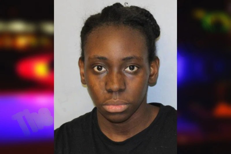 Malika Henry mugshot – Hall County , Georgia Malika Henry mugshot