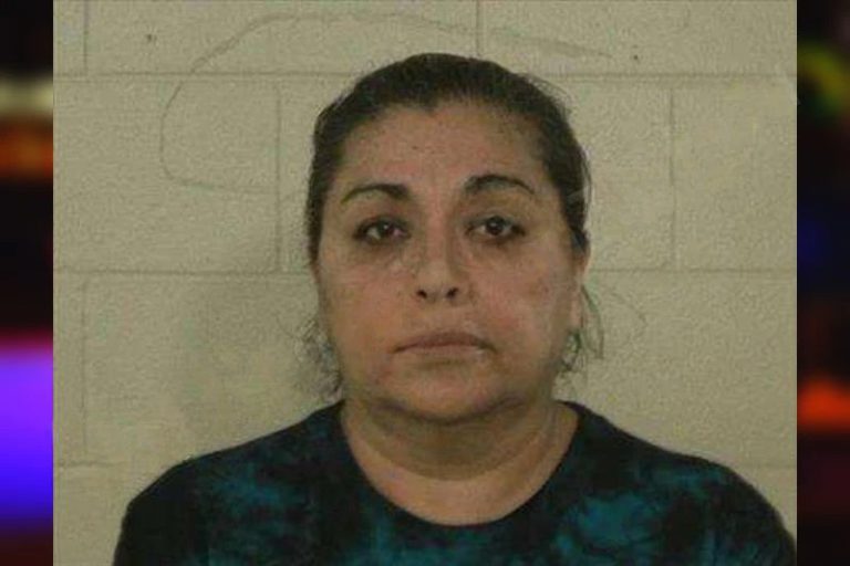Manuela Rodriguez-Juarez mugshot – Liberty County , Georgia Manuela Rodriguez-Juarez