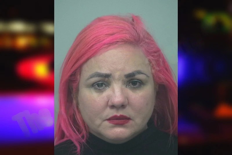 Maria Alvarez De Severeyn Mugshots