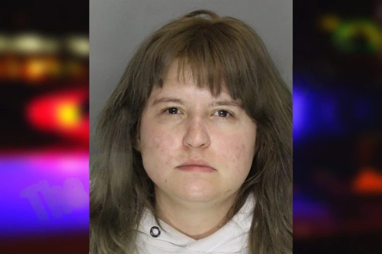 Maria Areingdale mugshot – Cobb County , Georgia Maria Areingdale