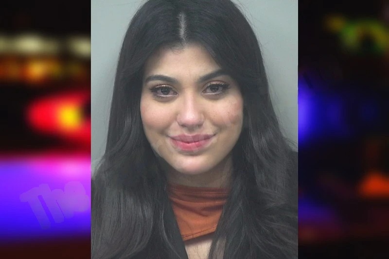 Maria Ramirez Florez mugshot – Gwinnett County , Georgia Maria Ramirez Florez mugshot