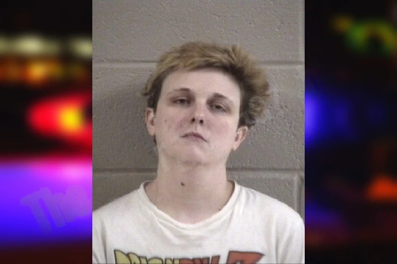 Mariah Harris mugshot – Whitfield County , Georgia Mariah Harris mugshot