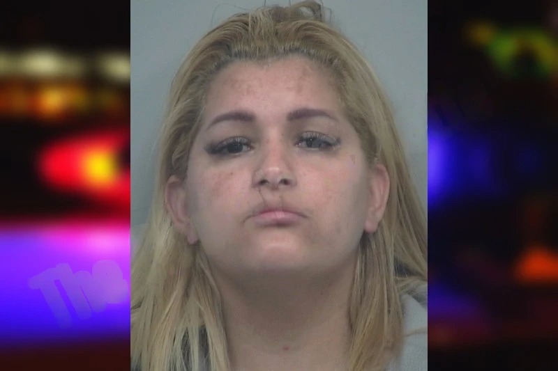 Marian Rivero mugshot