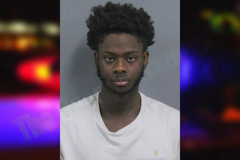 Marii Terrell Mugshots