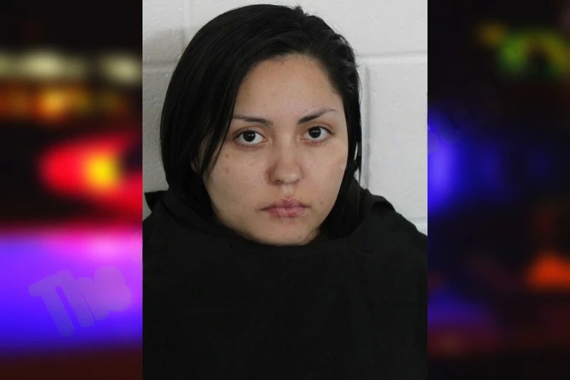 Marisela Gonzalez mugshot