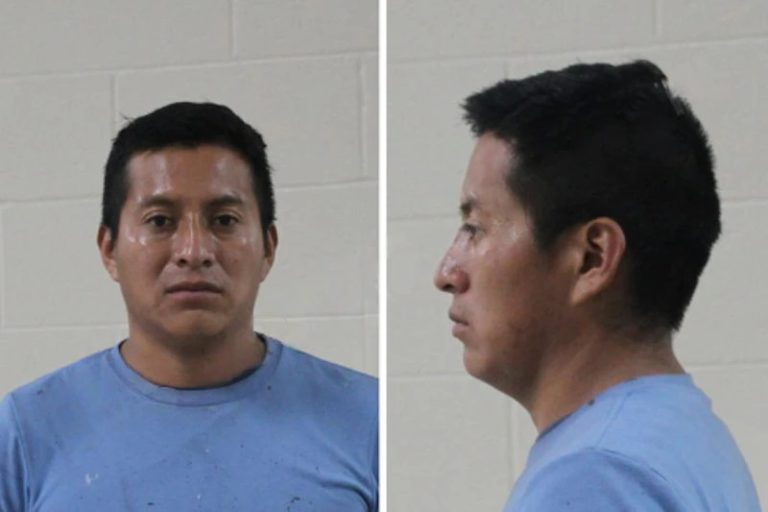 Marlon Vincente-Lux mugshot – Houston County , Georgia Marlon Vincente-Lux