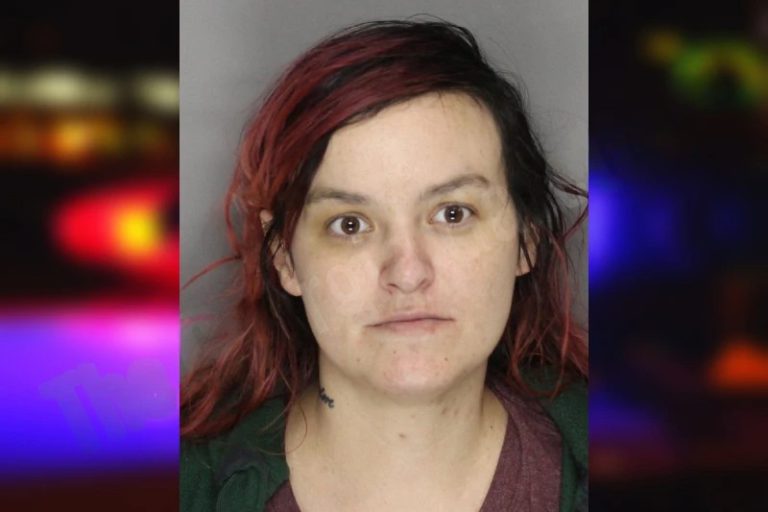 Mary Adams mugshot – Cobb County , Georgia Mary Adams