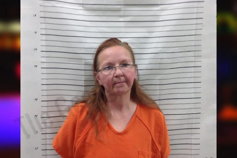 Mary Hall mugshot – Pickens County , Georgia Mary Hall