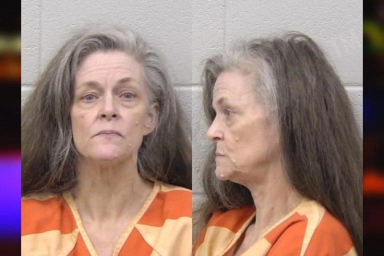 Mary Hansen mugshot – Paulding County , Georgia Mary Hansen