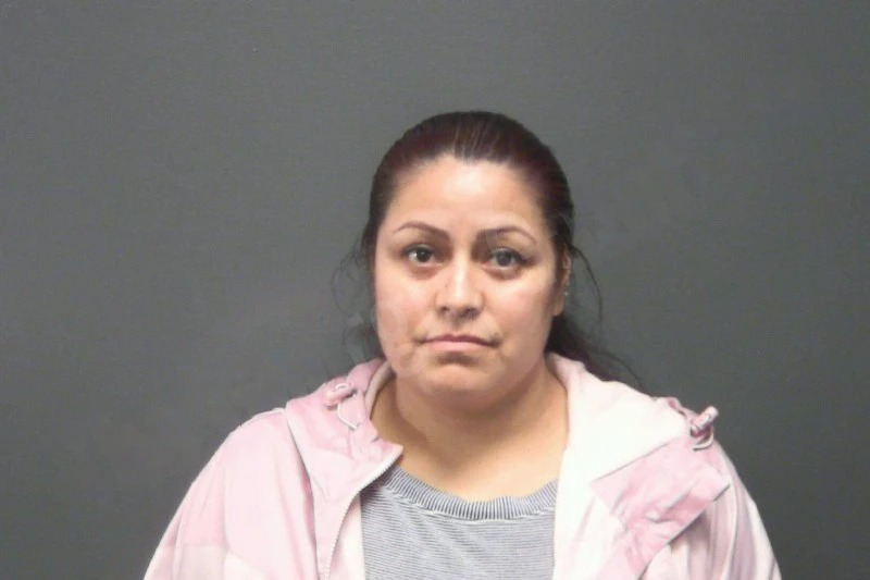 Matilde Guzman Barraza mugshot – Cherokee County , Georgia Matilde Guzman Barraza mugshot