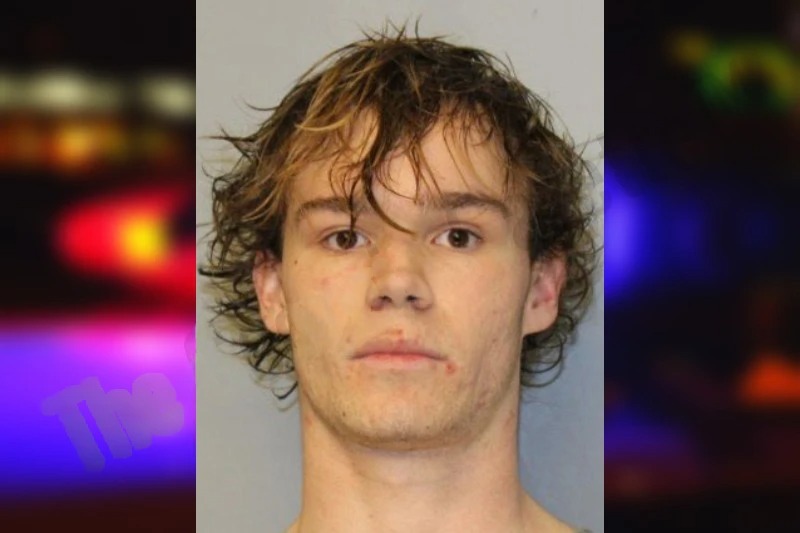 Matthew Velleca Mugshots