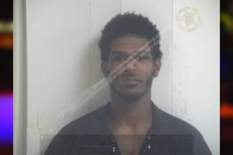 Maurice Brown Mugshots