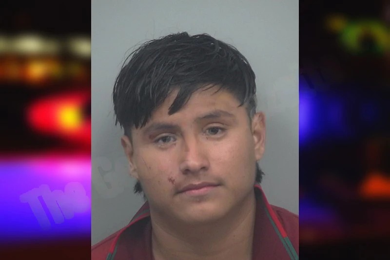 Maynor Tut Tox mugshot – Gwinnett County , Georgia Maynor Tut Tox mugshot