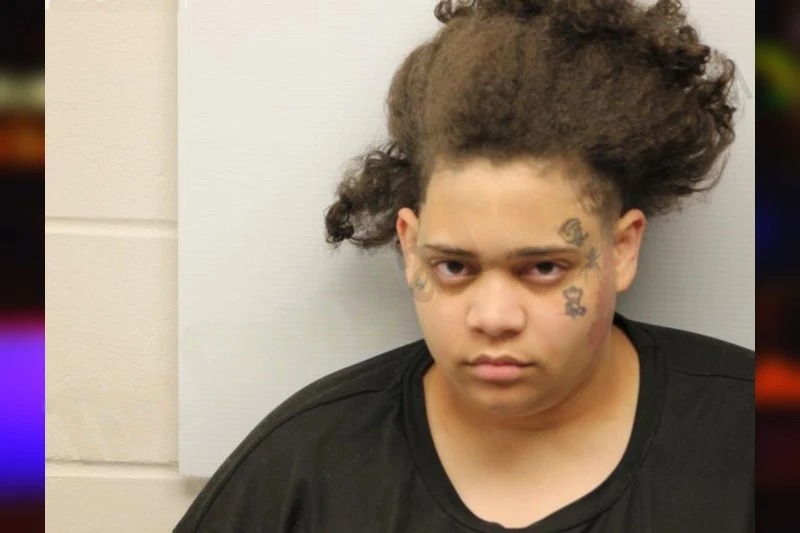 McKayla Hamm Mugshots