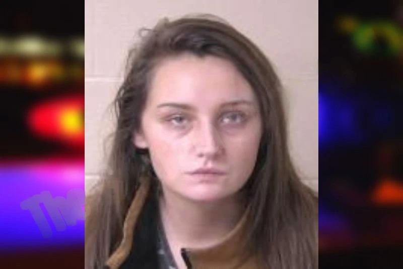 Meagan Long Mugshots