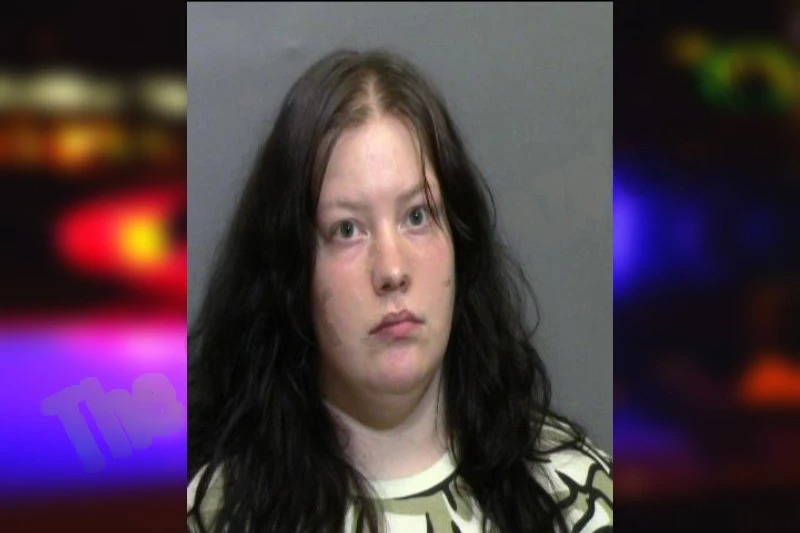 Megan Hillman mugshot