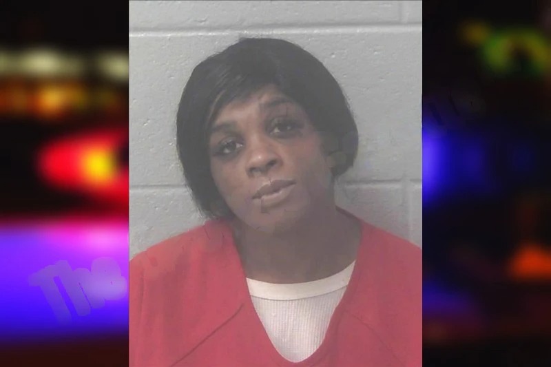 Megan Shell Mugshots