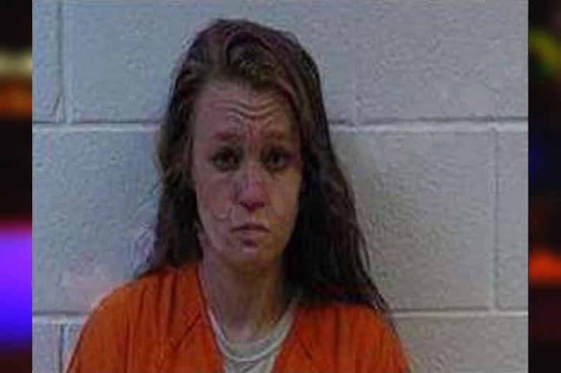 Megan Sneed Mugshots