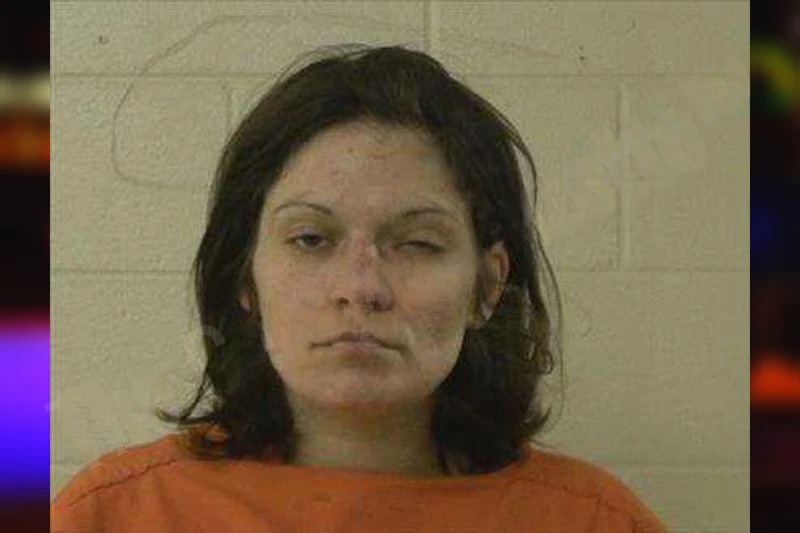 Megan Stergios mugshot