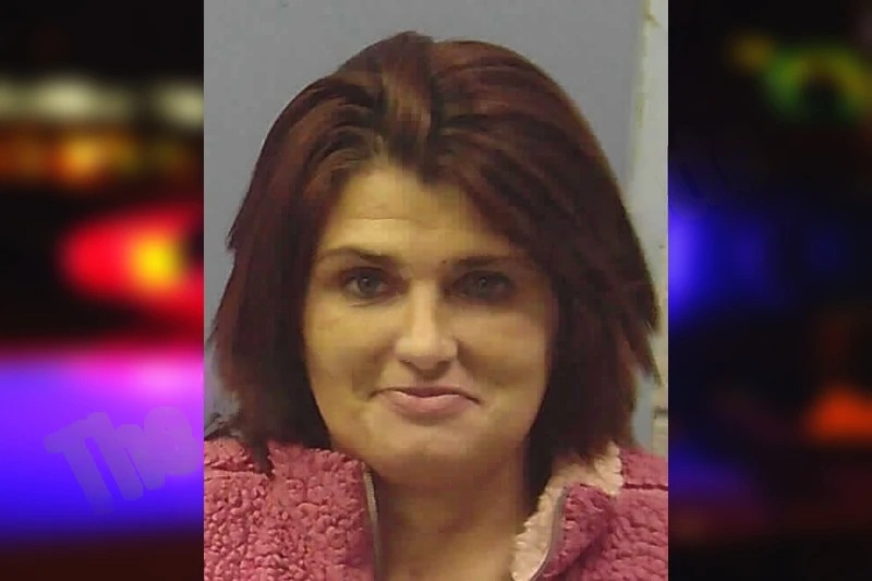 Megan Wallin Mugshots