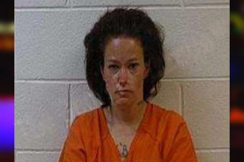 Megan Wilson Mugshots