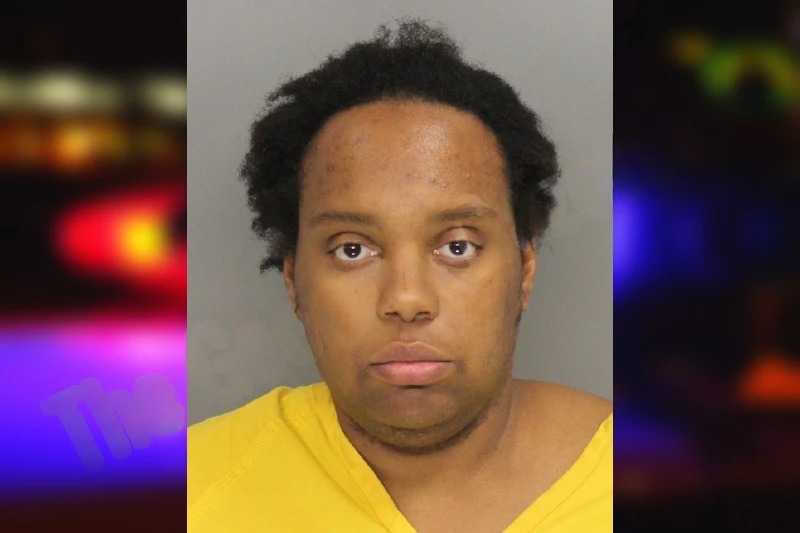 Meisha Irvin Mugshots