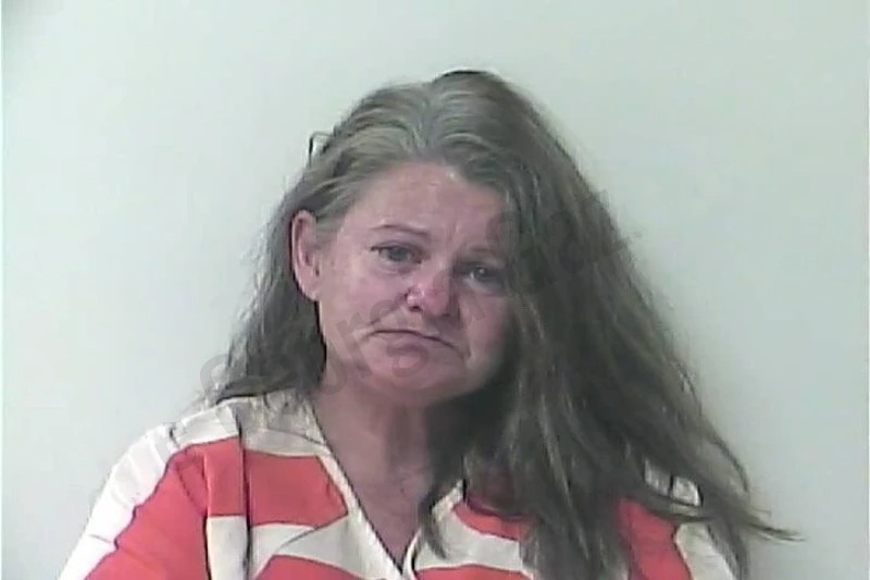 Melanie Daniel mugshot – Oconee County , Georgia Melanie Daniel mugshot