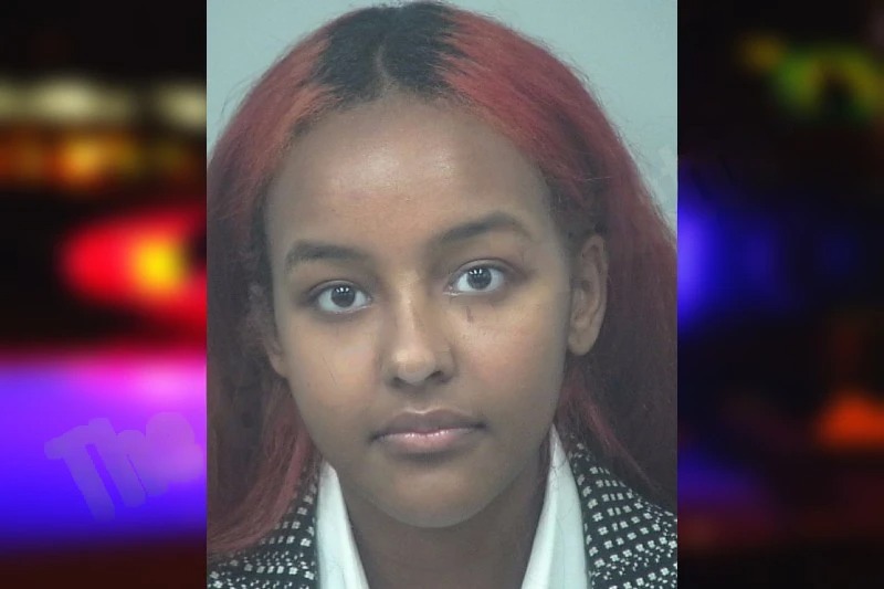 Melat Mekbib Mugshots