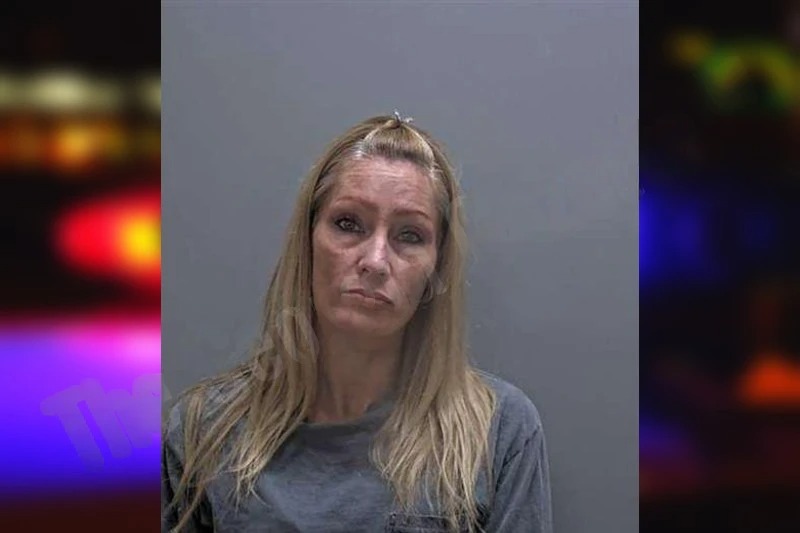 Melinda Houle Mugshots