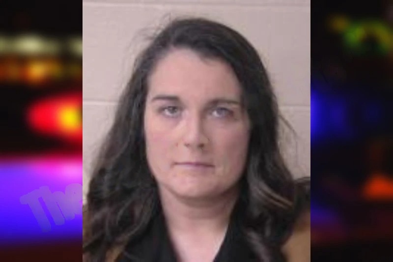 Melinda Modean mugshot – Walker County , Georgia Melinda Modean mugshot