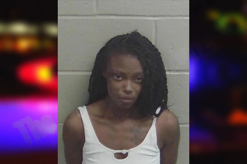 Melinna Clemmons mugshot