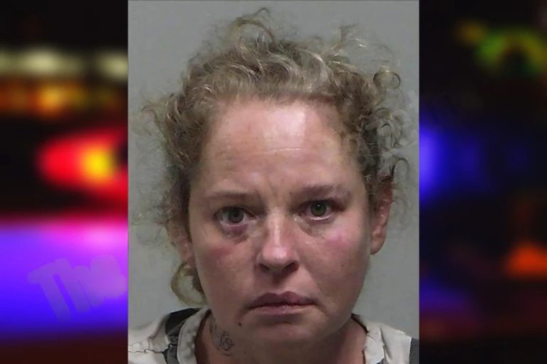 Melisa Holweger mugshot – Tift County , Georgia Melisa Holweger