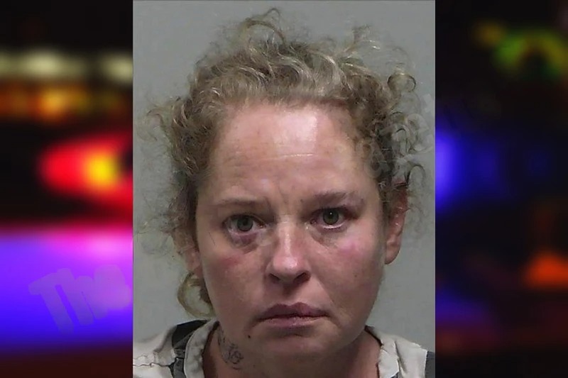 Melisa Holweger Mugshots